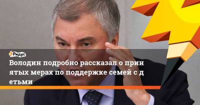 Вячеслав Володин - Володин подробно рассказал опринятых мерах поподдержке семей сдетьми - ridus.ru