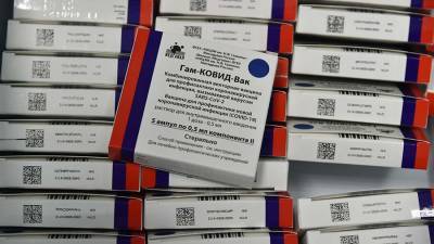 Алексей Аграновский - Вирусолог заявил о безвредности «Спутника V» для генома человека - iz.ru - Москва - Израиль