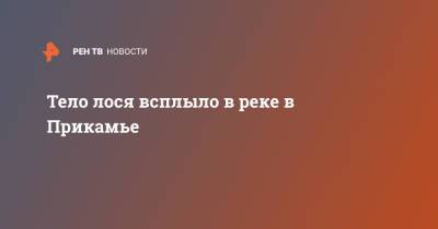 Тело лося всплыло в реке в Прикамье - ren.tv - Пермский край
