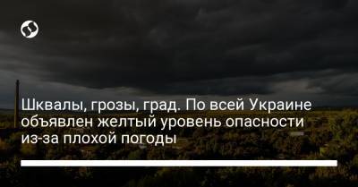 Шквалы, грозы, град. По всей Украине объявлен желтый уровень опасности из-за плохой погоды - liga.net - Украина - Экология