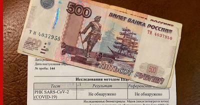 В Петербурге возбудили дело из-за торговли поддельными "коронавирусными" справками - profile.ru - Россия - Ленинградская обл. - Санкт-Петербург