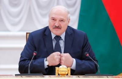 Александр Лукашенко - Ингрида Шимоните - Власти Литвы обвинили в наплыве мигрантов Александра Лукашенко - govoritmoskva.ru - Белоруссия - Литва - Индия - Пакистан - Гамбия