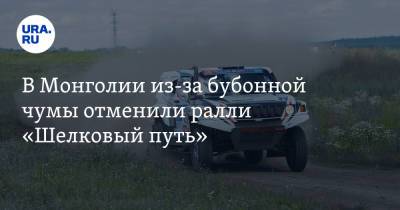 Дмитрий Чернышенко - Денис Проценко - В Монголии из-за бубонной чумы отменили ралли «Шелковый путь» - ura.news - Москва - Россия - Монголия