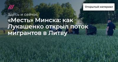 «Месть» Минска: как Лукашенко открыл поток мигрантов в Литву - tvrain.ru - Россия - Англия - Белоруссия - Германия - Литва - Минск - Афганистан