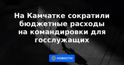 На Камчатке сократили бюджетные расходы на командировки для госслужащих - news.mail.ru - Камчатский край