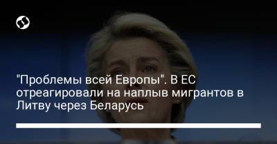 Гитанас Науседа - Ингрида Шимоните - "Проблемы всей Европы". В ЕС отреагировали на наплыв мигрантов в Литву через Беларусь - liga.net - Украина - Белоруссия - Литва - Вильнюс - Брюссель - Ляйен