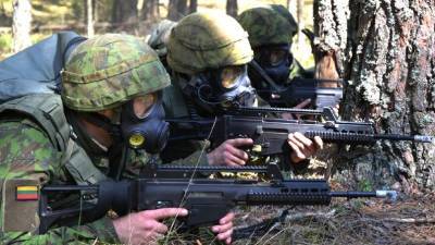 Литовские пограничники при задержании нелегалов открыли стрельбу - naviny.by - Белоруссия - Литва
