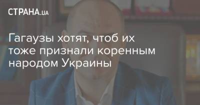 Владимир Зеленский - Гагаузы хотят, чтоб их тоже признали коренным народом Украины - strana.ua - Украина