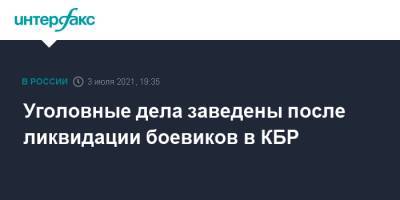 Уголовные дела заведены после ликвидации боевиков в КБР - interfax.ru - Москва - Россия - респ. Кабардино-Балкария