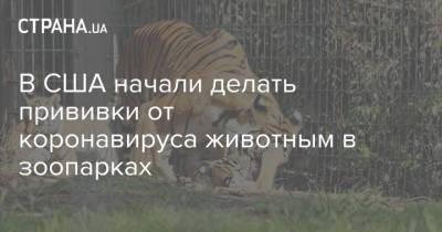 В США начали делать прививки от коронавируса животным в зоопарках - strana.ua - США - Украина - San Francisco - шт. Калифорния - Окленд