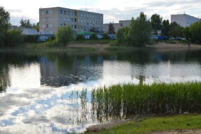 40 человек утонули в водоемах Нижегородской области с начала купального сезона - vgoroden.ru - Нижегородская обл. - Нижний Новгород