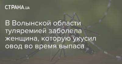 В Волынской области туляремией заболела женщина, которую укусил овод во время выпаса - strana.ua - Украина - Волынская обл.