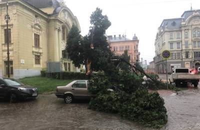 Ливень в Черновцах: авто под упавшими деревьями, улицы затоплены (видео) - sharij.net - Сочи - Индия - Одесса - Черновцы