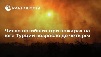 Бекир Пакдемирли - Число погибших при пожарах на юге Турции возросло до четырех - ria.ru - Турция - Анкара