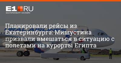 Михаил Мишустин - Артем Устюжанин - Планировали рейсы из Екатеринбурга: Мишустина призвали вмешаться в ситуацию с полетами на курорты Египта - e1.ru - Россия - Египет - Екатеринбург