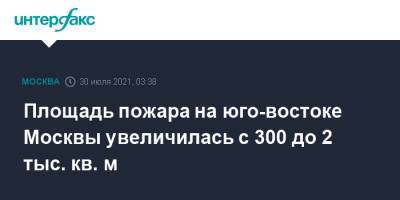 Площадь пожара на юго-востоке Москвы увеличилась с 300 до 2 тыс. кв. м - interfax.ru - Москва - Россия