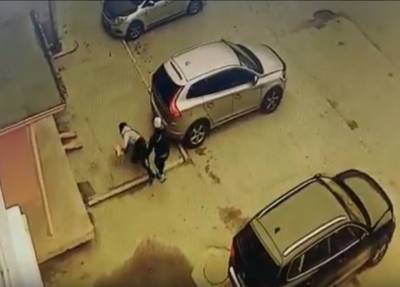 Девушка в Мурманске без причины напала на прохожую и ударила головой об асфальт - province.ru - Мурманск