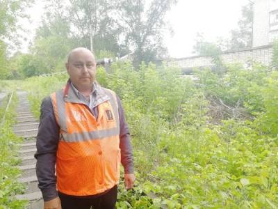 Ветка из веток вблизи кунгурского железнодорожного вокзала - iskra-kungur.ru - Пермь
