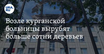 Екатерина Сычкова - Возле курганской больницы вырубят больше сотни деревьев - ura.news - Курган