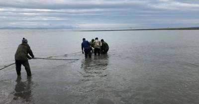 Прокуратура Камчатки установила обстоятельства гибели детей на реке - ren.tv - Камчатский край - Камчатка