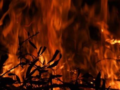 Сильный лесной пожар в Анталье привел к гибели одного человека, более 60 пострадали - rusjev.net - Манавгат