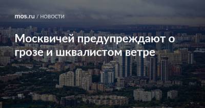 Москвичей предупреждают о грозе и шквалистом ветре - mos.ru - Москва