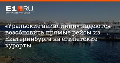 «Уральские авиалинии» надеются возобновить прямые рейсы из Екатеринбурга на египетские курорты - e1.ru - Москва - Россия - Египет - Екатеринбург - Каир