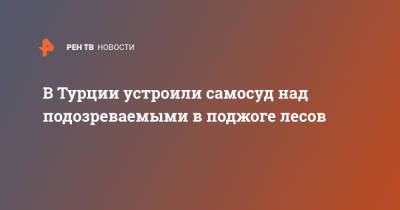 В Турции устроили самосуд над подозреваемыми в поджоге лесов - ren.tv - Турция