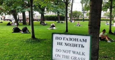 Москвичку возмутили пикники у Могилы Неизвестного Солдата - moslenta.ru - Москва