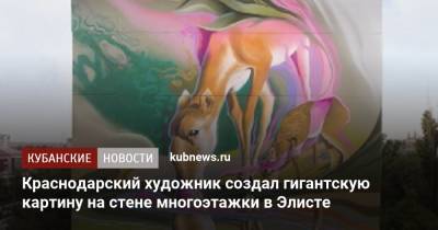 Краснодарский художник создал гигантскую картину на стене многоэтажки в Элисте - kubnews.ru - Россия - Краснодарский край - Краснодар - респ. Калмыкия