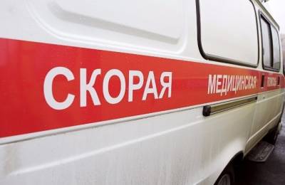 Наталья Мамаева - На Урале требуют возбудить уголовное дело на мать, не пускавшую врачей к ребенку - znak.com - Россия - Челябинская обл. - Копейск