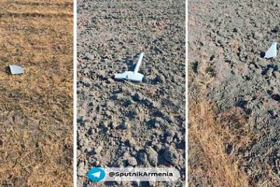 Армянские военные сбили азербайджанский беспилотник в приграничной зоне - lenta.ru - Армения - Азербайджан - Гегаркуникской обл.
