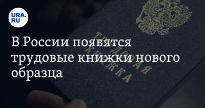 Михаил Мишустин - В России появятся трудовые книжки нового образца - ura.news - Россия