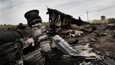 Александр Шульгин - Россия надеется: суд по делу MH17 примет к сведению рассекреченные документы Минобороны - runews24.ru - Москва - Россия - Украина - Голландия - Гаага