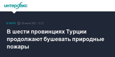 Бекир Пакдемирли - В шести провинциях Турции продолжают бушевать природные пожары - interfax.ru - Москва - Турция