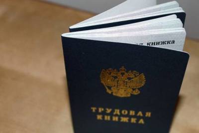 Михаил Мишустин - В России будут использовать трудовые книжки нового образца - versia.ru - Россия