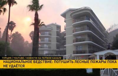 Лесные пожары рядом с популярными курортами в Турции: четыре человека погибли, 200 человек обратились за медпомощью - ont.by - Белоруссия - Турция