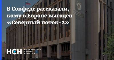 Владимир Джабаров - В Совфеде рассказали, кому в Европе выгоден «Северный поток-2» - nsn.fm - Россия - США - Украина - Германия - Хорватия