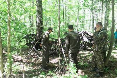 В лесу на территории Марий Эл обнаружен упавший самолет времен войны - mk.ru - респ. Марий Эл