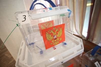 Алексей Навальный - В Нижнем Новгороде журналистку сняли с выборов за поддержку Алексея Навального - znak.com - Нижний Новгород