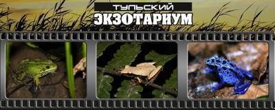 Пущинский музей экологии и краеведения приглашает на выставку - runews24.ru - городское поселение Пущино - Экология