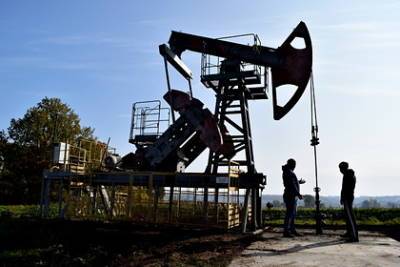 США резко нарастили закупки российской нефти - lenta.ru - Россия - США