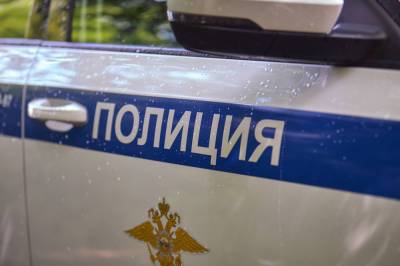 Подмосковные полицейские воспользовались мигалками для доставки женщины в роддом - news.vse42.ru - Московская обл.