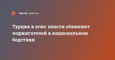 Турция в огне: власти обвиняют поджигателей в национальном бедствии - ren.tv - Турция