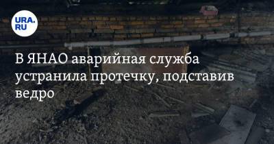 В ЯНАО аварийная служба устранила протечку, подставив ведро - ura.news - окр. Янао