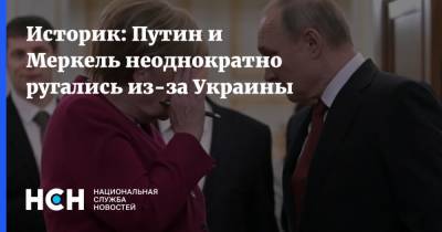 Владимир Путин - Ангела Меркель - Историк: Путин и Меркель неоднократно ругались из-за Украины - nsn.fm - Москва - Россия - Украина - Крым - Германия - Переговоры
