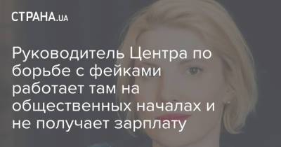 Руководитель Центра по борьбе с фейками работает там на общественных началах и не получает зарплату - strana.ua - Украина