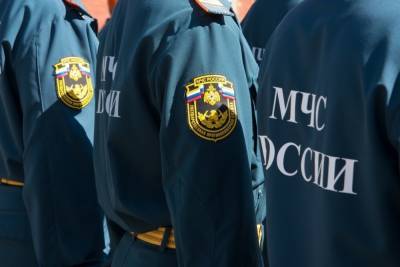 В Ясногорске наградили тушивших природный пожар детей - tula.mk.ru - Россия - Тула - Тульская обл. - район Ясногорский - Ясногорск