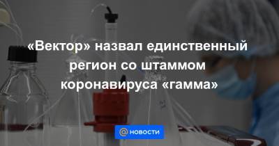 «Вектор» назвал единственный регион со штаммом коронавируса «гамма» - news.mail.ru - Россия - Англия - Бразилия - Индия - Юар
