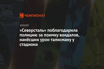 «Северсталь» поблагодарила полицию за поимку вандалов, нанёсших урон талисману у стадиона - championat.com - Санкт-Петербург - Череповец
